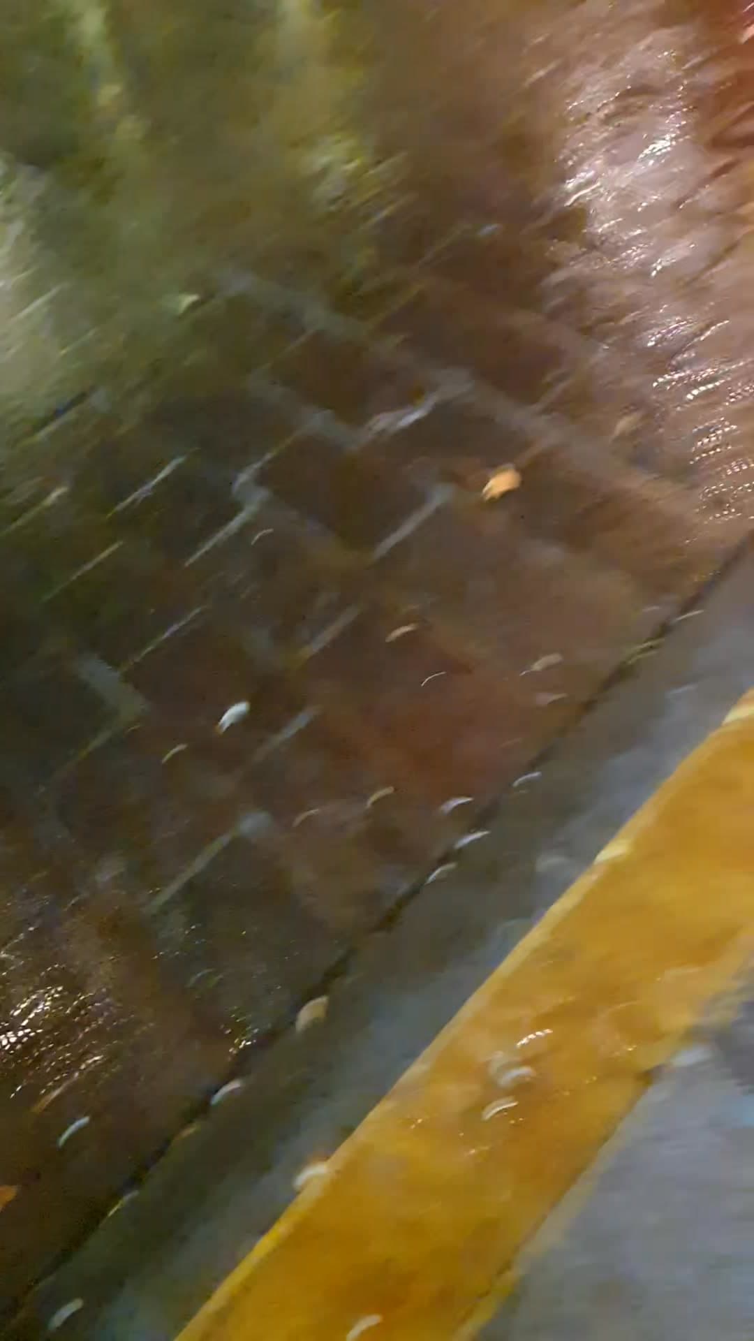 Ahora fue en el centro de la ciudad de Mazatlán que llovió en las primeras hora del domingo