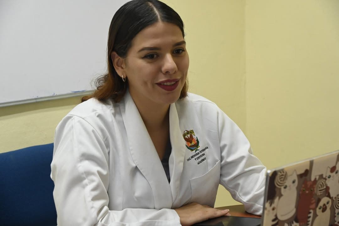 A tener cuidado! Debido al calor y la humedad, las mascotas pueden