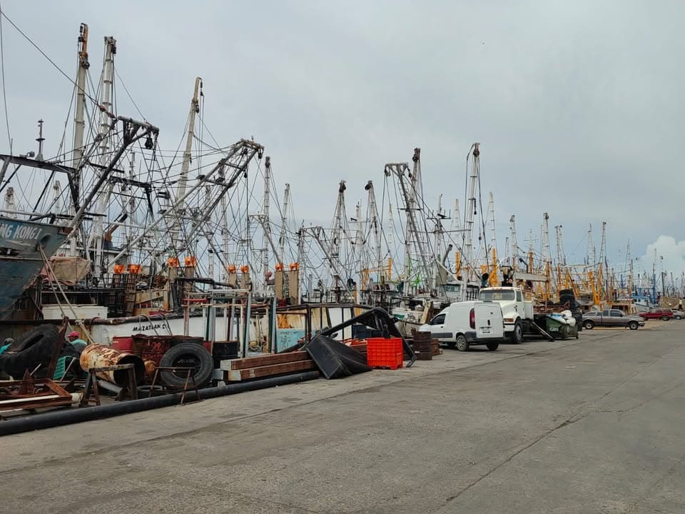 Anuncian levantamiento de la veda del camarón en el Pacífico Mexicano, el 19 de septiembre para ribereños y el 29 para altamar