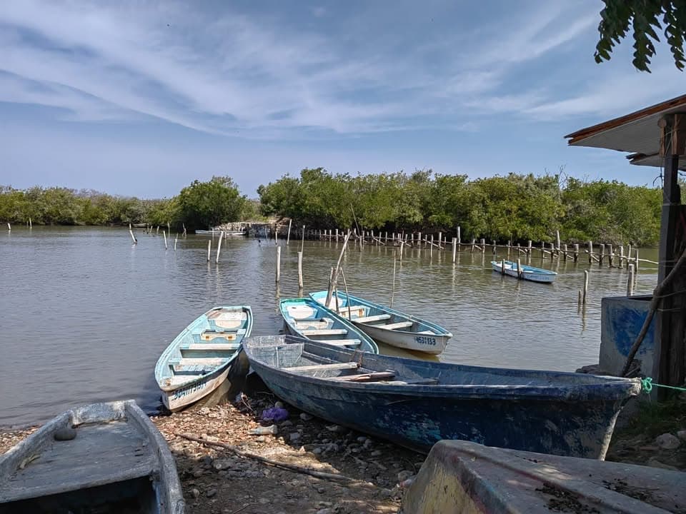 Pescadores pudieran autovedarse en el Huizache, proponen empezar hasta el 29 de octubre