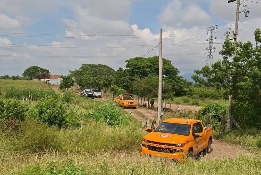 Ataque de abejas deja a dos personas sin vida cerca de La Urraca