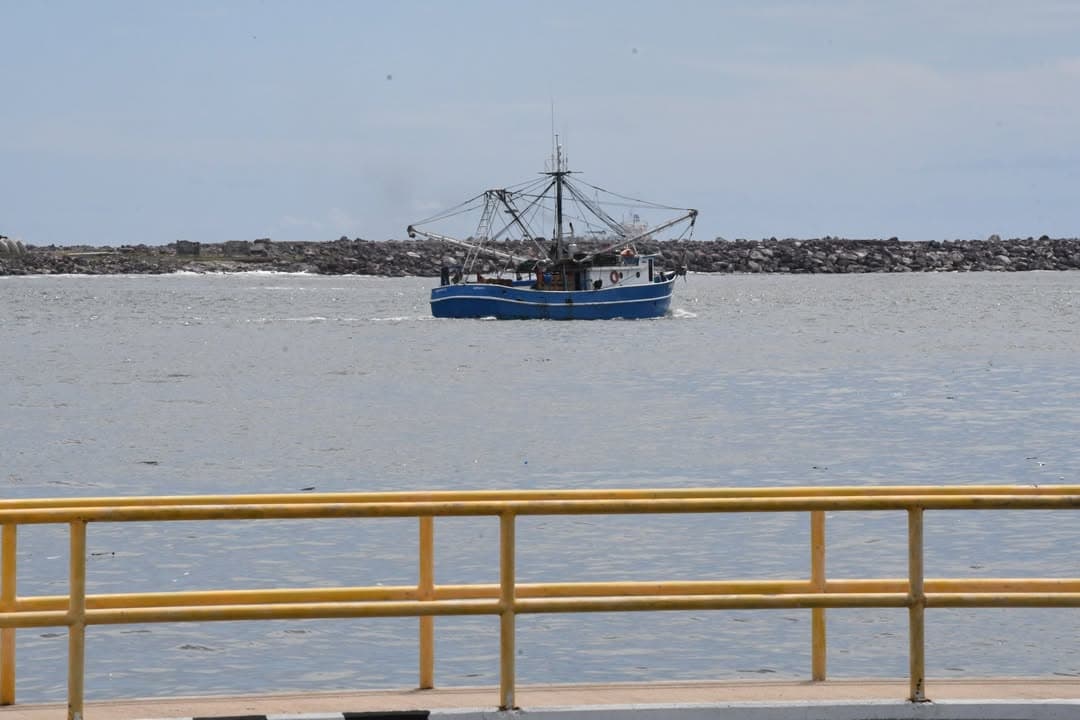 Reportan capturas regulares en los primeros en las primeras horas de pesca en altamar
