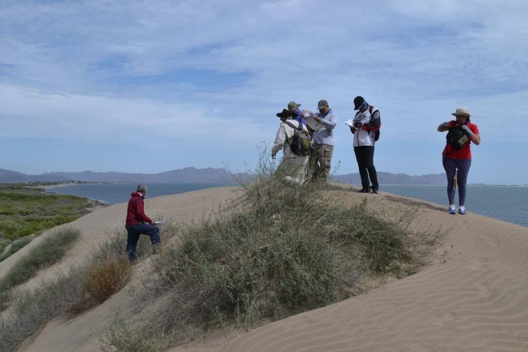 Islas de las costas de Sinaloa han registrado alrededor de 180